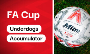 Saturday’s 35/1 [FA Cup] Accumulator Tips [Underdogs]