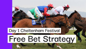 Cheltenham Free Bet Strategy