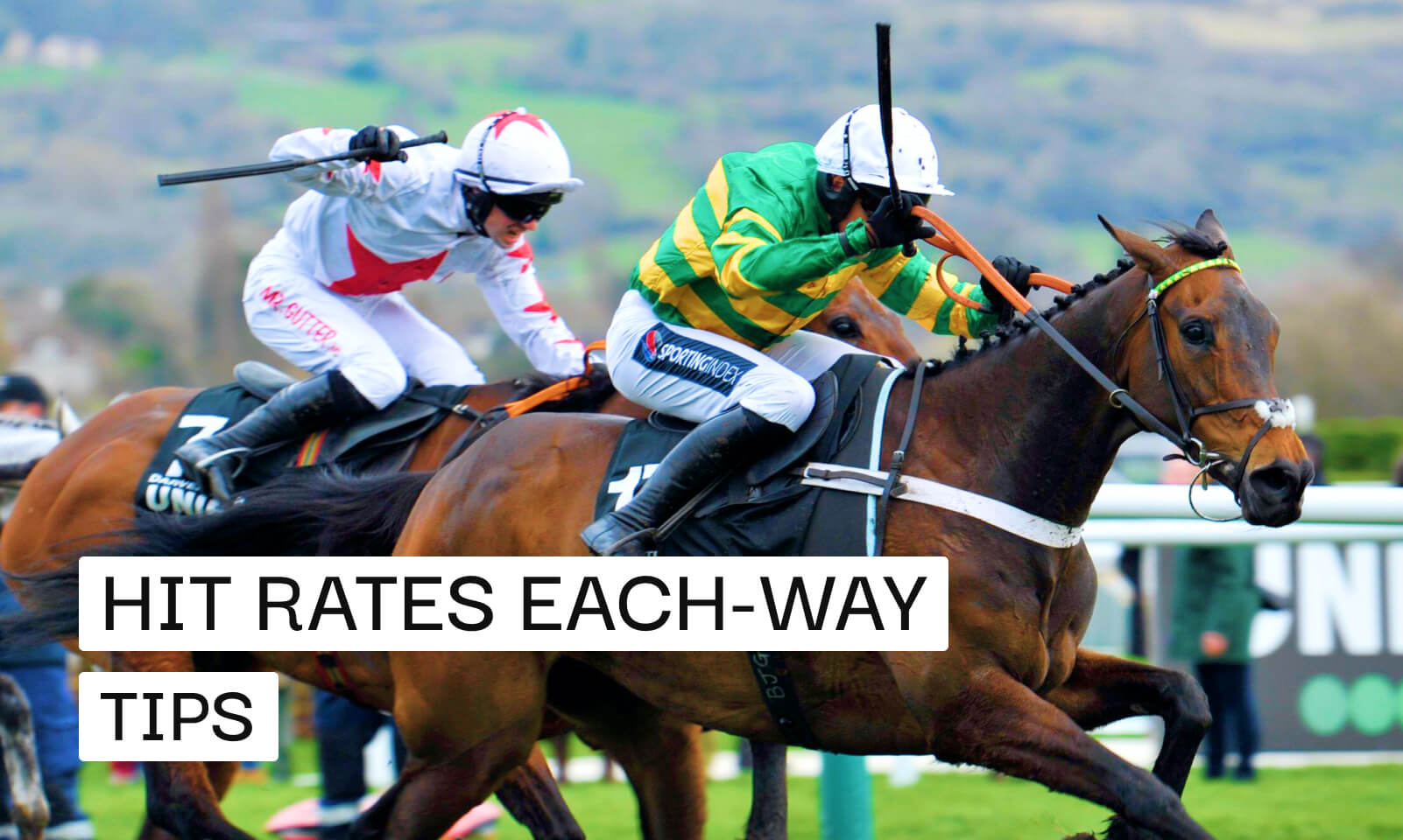 Today’s Free Horse Racing Each-Way Tips - Best E/W Picks