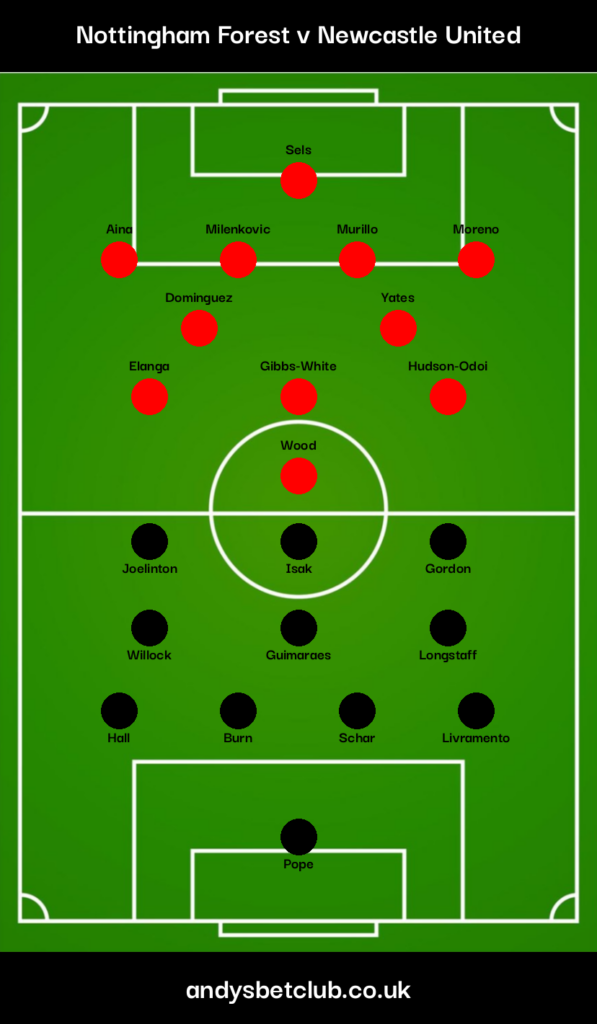 Nottingham Forest v Newcastle Predicted XI