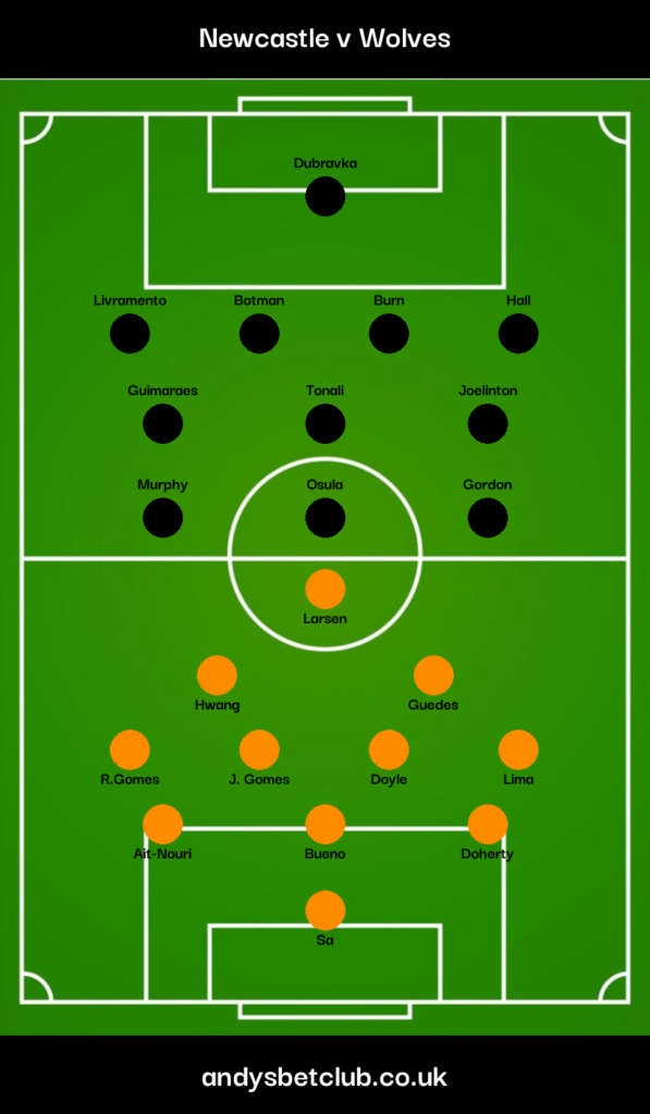 Newcastle v Wolves Predicted XI