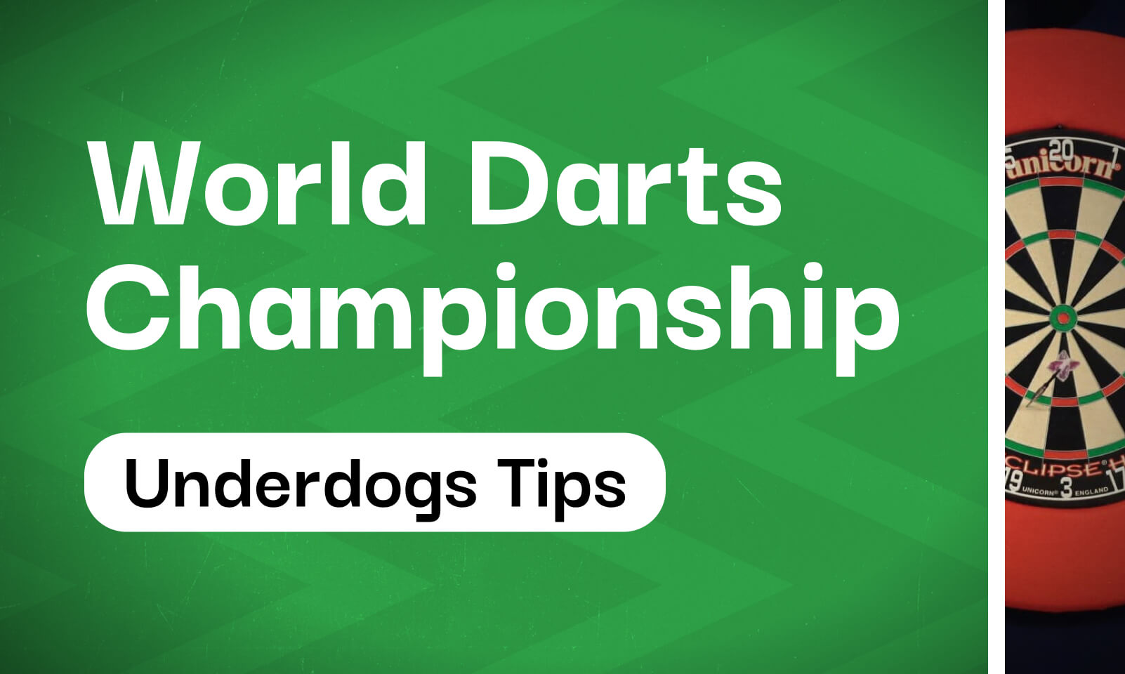 World Darts Championship 125/1 Underdog Betting Tips & Predictions 2025