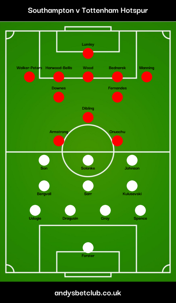 Southampton v Tottenham  Predicted XI