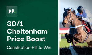 30/1 Constitution Hill to Win at Cheltenham with Paddy Power  