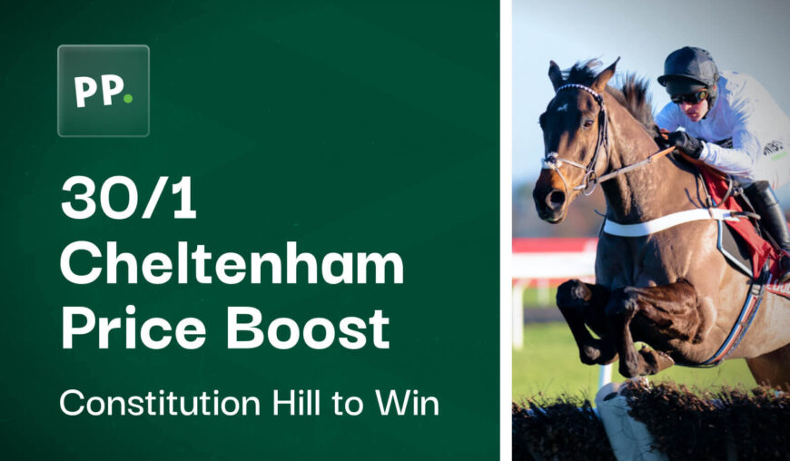 30/1 Constitution Hill to Win at Cheltenham with Paddy Power  