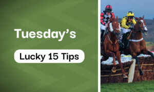 Today's Horse Racing Lucky 15 Tips Today (Hit Rates)