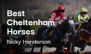 Nicky Henderson Cheltenham Tips - Best Horses For Cheltenham 2025