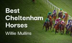 Willie Mullins Cheltenham Tips - Best Horses For Cheltenham 2025