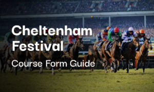 Cheltenham Festival Course Form Guide